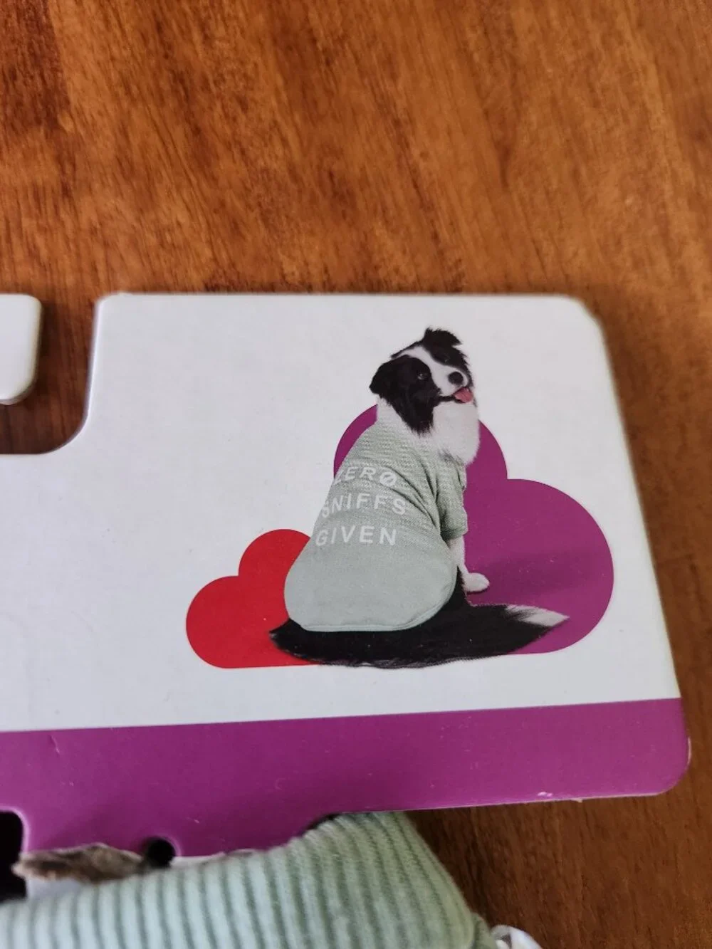 Boots & Barkley dog sweatshirt